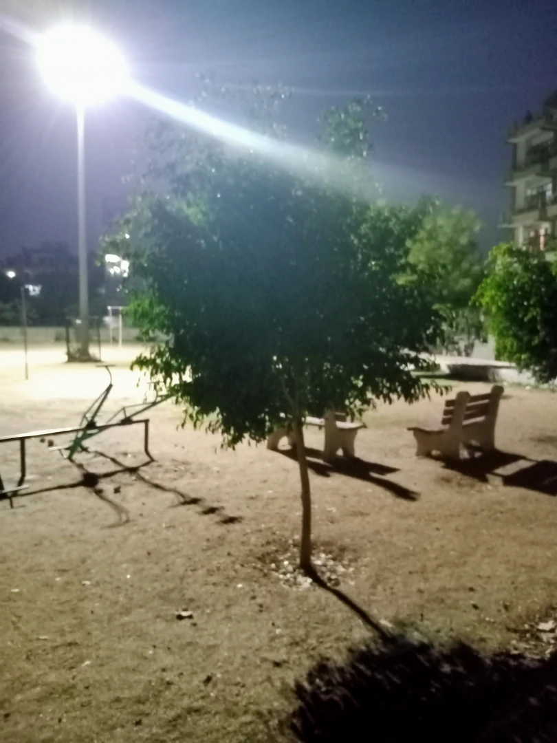 दिल्ली के पार्क का शाम का दृश्य
