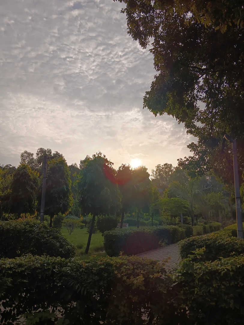सुबह के पार्क में उगता सूरज